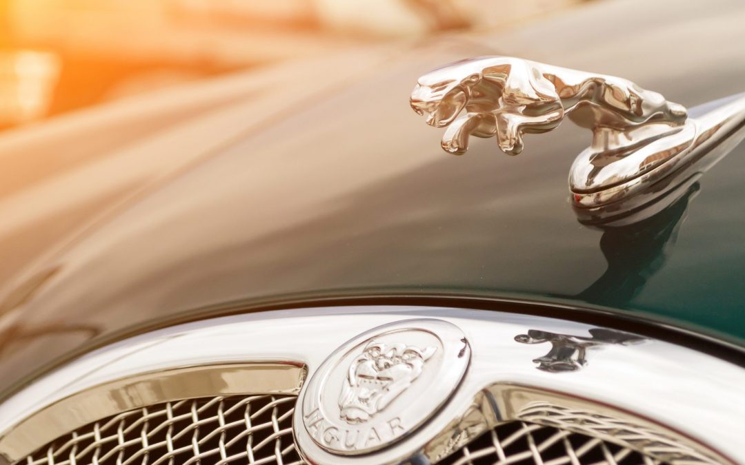 Jaguar - website